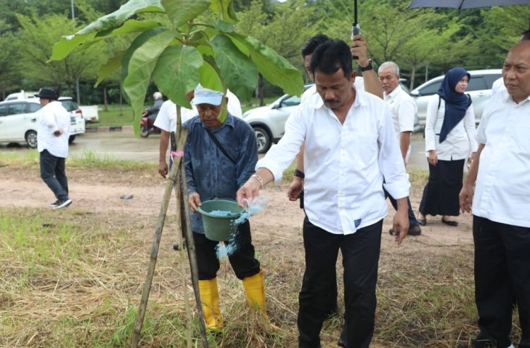 Kepala BP Batam Tinjau Pertumbuhan Pohon Kayu Jati Emas