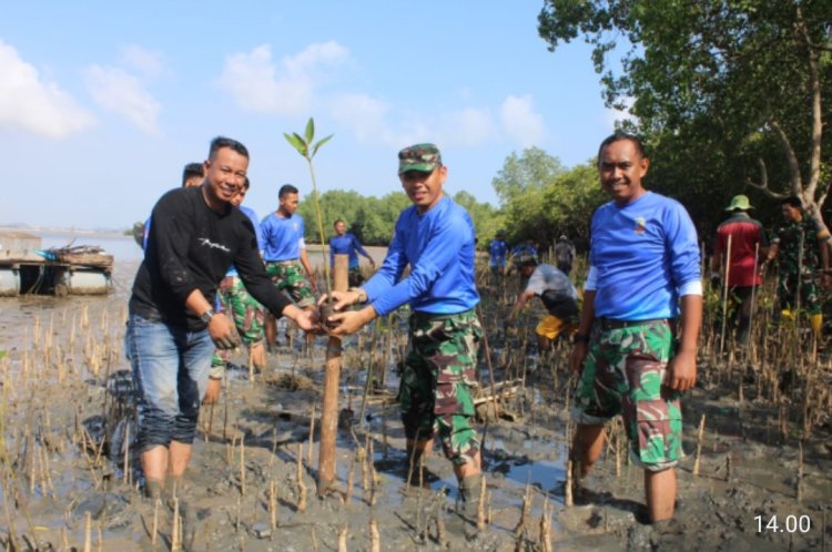 Lanud Hang Nadim Tanam 1000 Pohon Mangrove di Kampung Terih