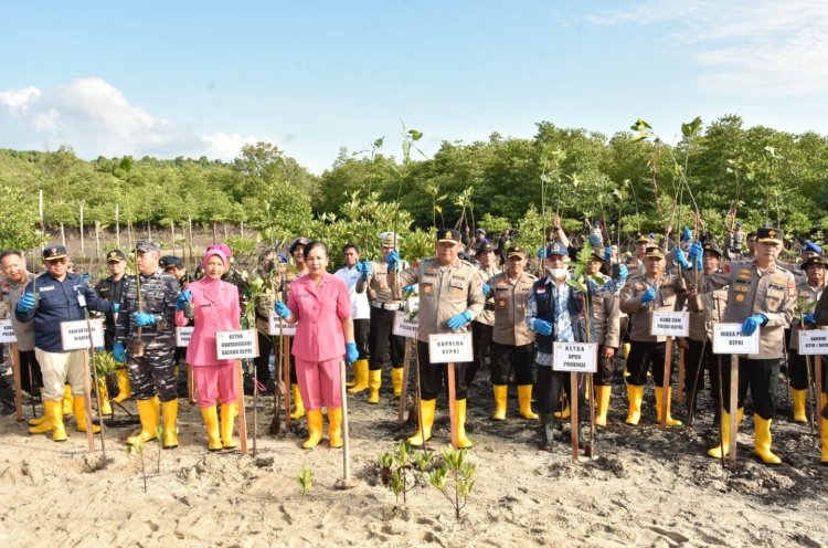 Kapolresta Barelang Mengikuti Penanaman 500 Pohon Mangrove di Pulau Setokok Secara Serentak Di Wilayah Polda Kepri