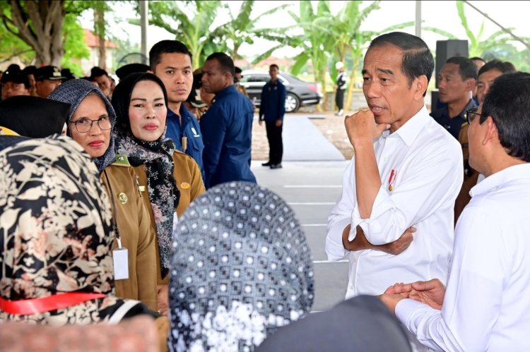 Presiden Jokowi Mendorong Pengelolaan Dana Desa yang Produktif dan Berkelanjutan