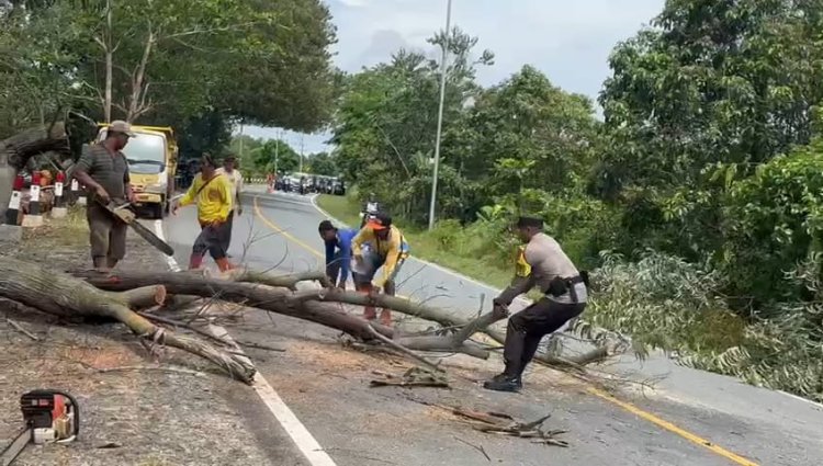 Cekatan, Bhabinkamtibmas Desa Busung Polsek Bintan Utara, Potong Pohon Tumbang Yang Menghalangi Arus Lalulintas Jalan Raya