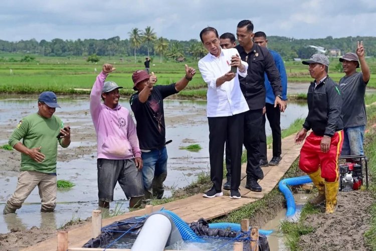 Presiden Joko Widodo Meninjau Bantuan Pompa Irigasi di Kabupaten Bone