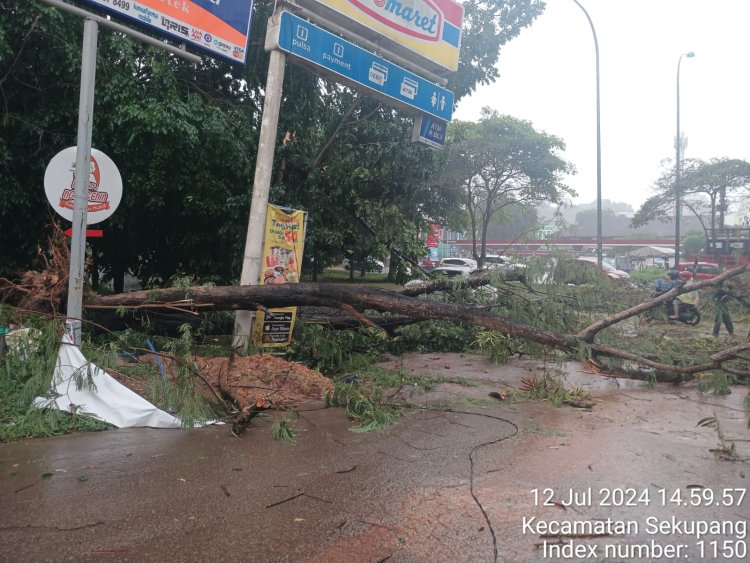 Gerak Cepat, Bhabinkamtibmas Polsek Sekupang Bersama Warga Evakuasi Pohon Tumbang