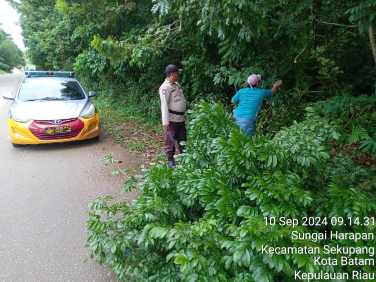 Kapolsek Sekupang Apresiasi Respons Cepat Personil Polsek Tangani Pohon Tumbang di Jalan