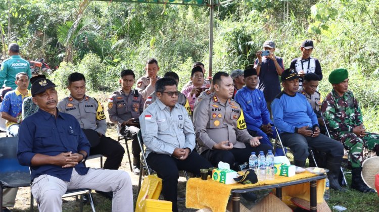 Mewujudkan Desa Ketahanan Pangan, Kapolres Lingga Panen Padi Sawah Di Desa Lanjut