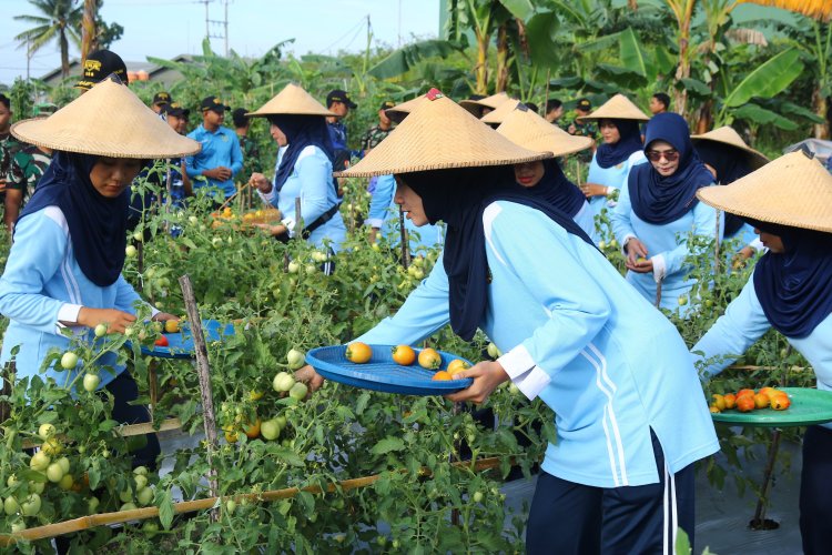 Lanud Raden Sadjad Natuna Panen Hasil Kebun, Dukung Program Ketahanan Pangan Nasional