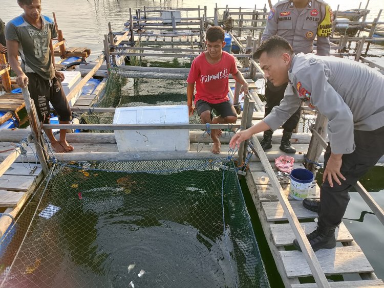 Kolaborasi Bripka Niko dan Briptu Paradis: Membangun Ketahanan Pangan Desa melalui Budidaya Perikanan Laut