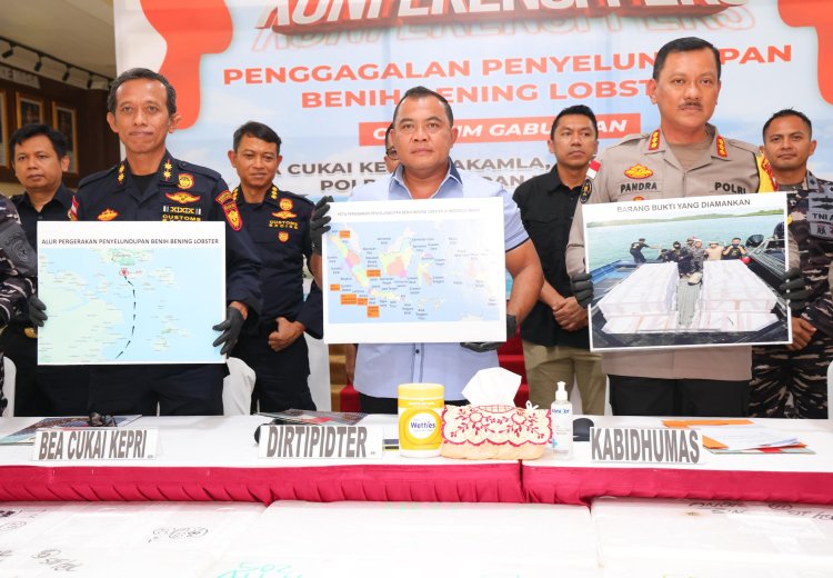 Upaya Penyelundupan Ribuan Benih Lobster di Kepri Berhasil Digagalkan Tim Gabungan