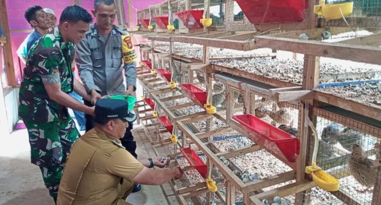 Bripka Doni Firmansyah Wujudkan Ketahanan Pangan Peternakan Burung Puyuh