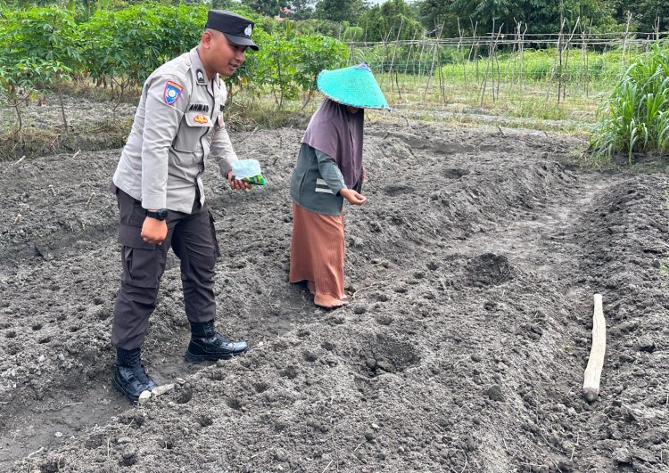 BRIPTU Ahmad Nurhidayat Giatkan Ketahanan Pangan Lewat Kebun Sayur Kangkung