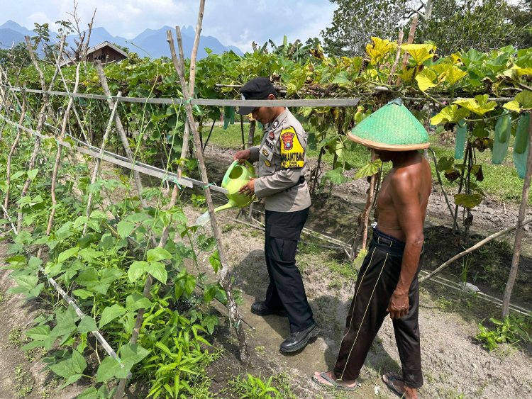 Briptu Febi Eka Julian Sahputra Gerakan Ketahanan Pangan Perkebunan Terong