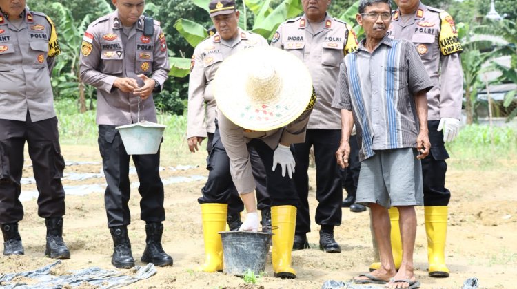 AKBP Apri Fajar Hermanto, S.I.K., Kapolres Lingga Pimpin Penanaman Bibit Semangka dan Pemupukan Jagung di Lahan Ketahanan Pangan Polres Lingga