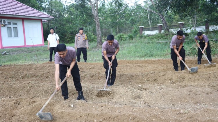 Kompol Andi Sutrisno Pimpin Pembukaan Lahan Perkebunan Jagung Polres Lingga