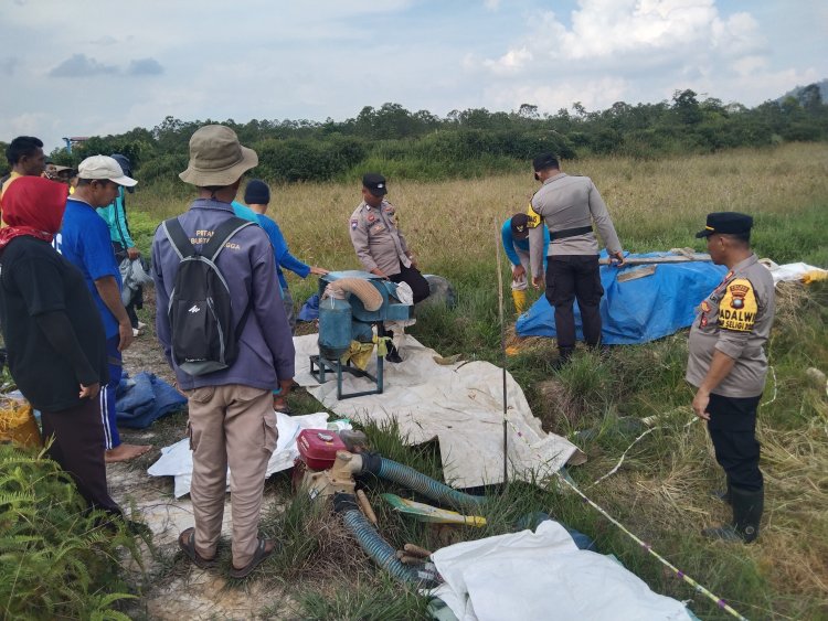 AKP Mayson Safri Bersama Dinas Pertanian Kabupaten Lingga Laksanakan Panen Padi di Lahan 2500 M²