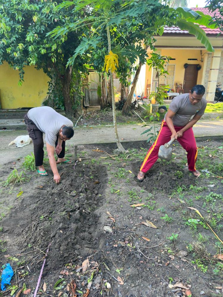 IPTU Hendri Bersama Personel Polsek Senayang Tanam Bibit Jagung di Lahan Ketahanan Pangan seluas 100 m²