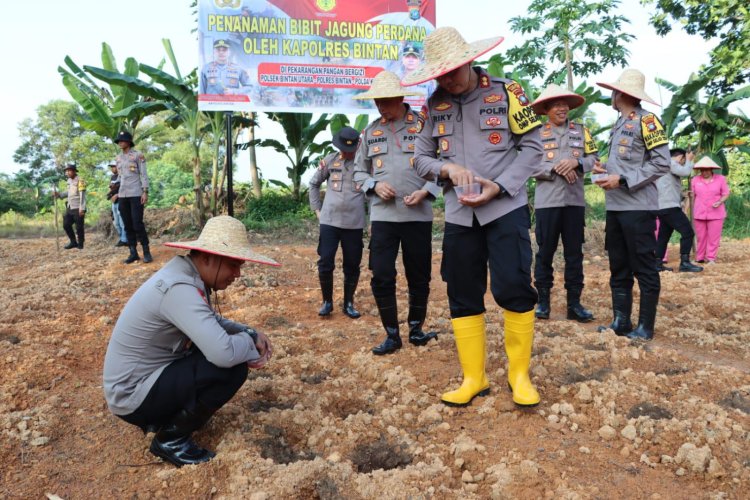 Dukung Program Pemerintah, Kapolres Bintan Laksanakan Penanaman Perdana 2000 Bibit Jagung