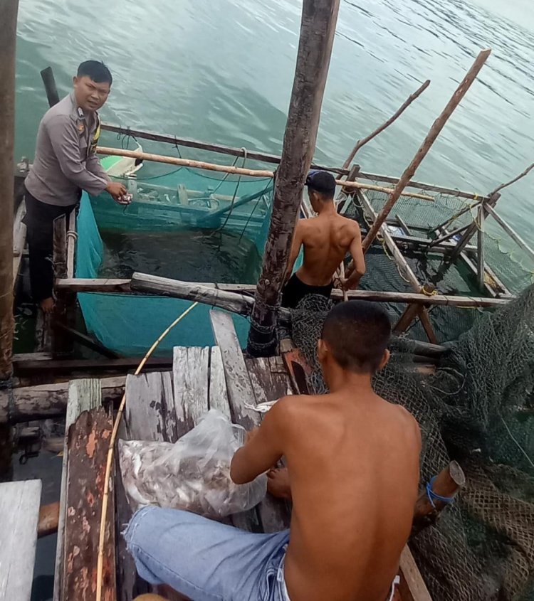 Brigadir Ardiansyah Nasution Panen Ikan Karang Budidaya Keramba Air Laut