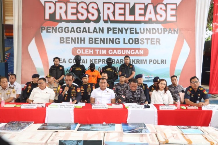 Tim Gabungan, Bea Cukai Kepri, Bareskrim Polri Dan Lantamal IV Gagalkan Penyelundupan Benih Lobster