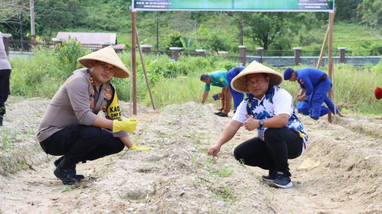 AKBP Apri Fajar Hermanto, S.I.K Launching Penanaman 3000 Benih Jagung Ketahanan Pangan Polres Lingga