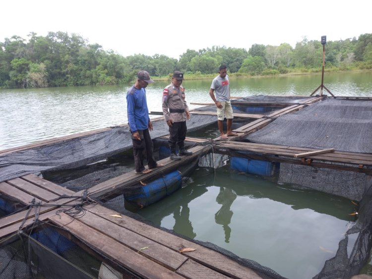 BRIPKA DJ. Manurung, Bhabinkamtibmas Desa Pongkar, Polsek Tebing Karimun, Dukung Program Ketahanan Pangan Nasional