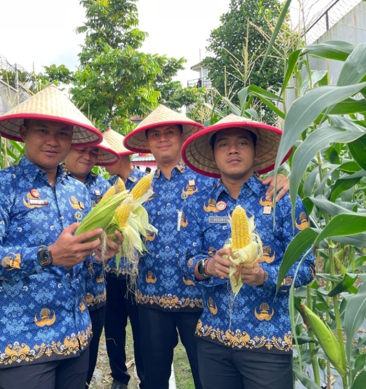 Rutan Batam Panen Jagung 250 Kg: Dukung Program Ketahanan Pangan Nasional