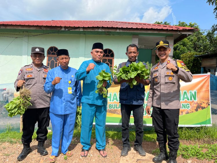 Polsek Bulang Sukses Panen Sayuran, Dukung Program Ketahanan Pangan Nasional