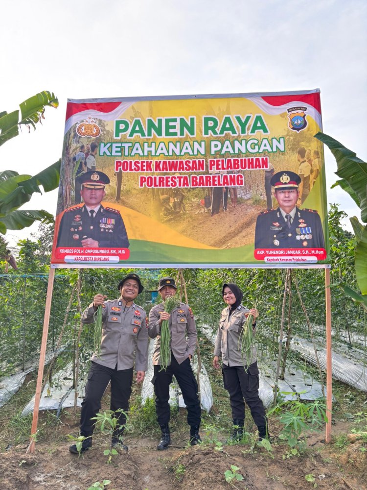 Polsek KKP Batam Panen Raya di Kebun Ketahanan Pangan, Wujudkan Swasembada Pangan