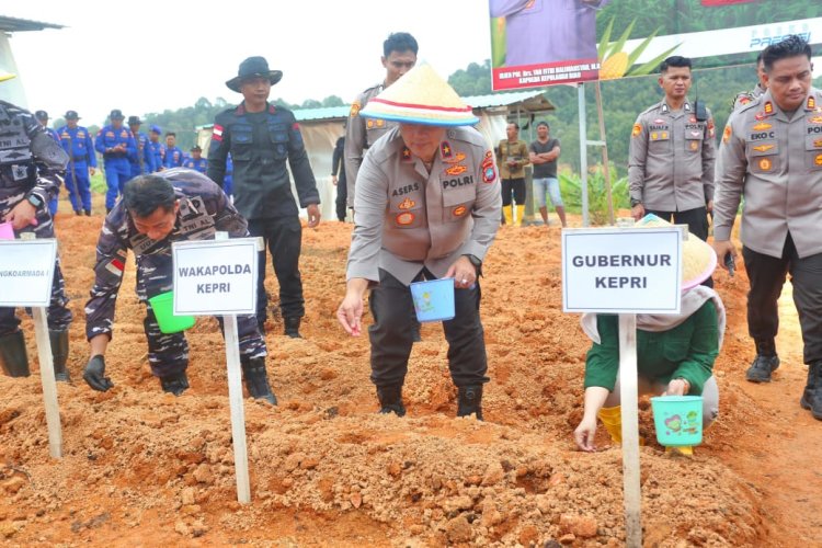 SUKSESKAN 1 JUTA HEKTARE JAGUNG: POLDA KEPRI TANAM 30.000 BIBIT DI TELUK MATA IKAN