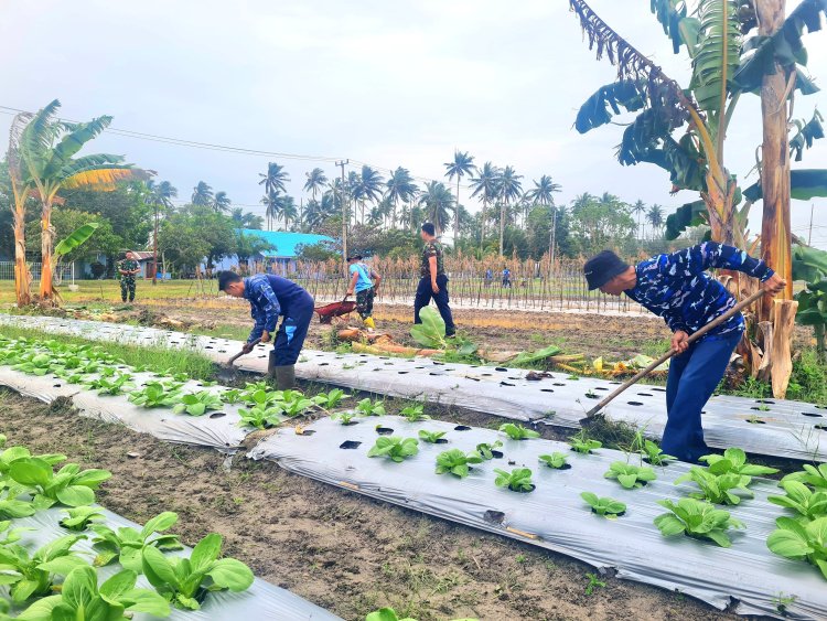 Lanud Raden Sadjad Natuna Bersama Masyarakat Terus Kembangkan Perkebunan Ketahanan Pangan di RSA Farm