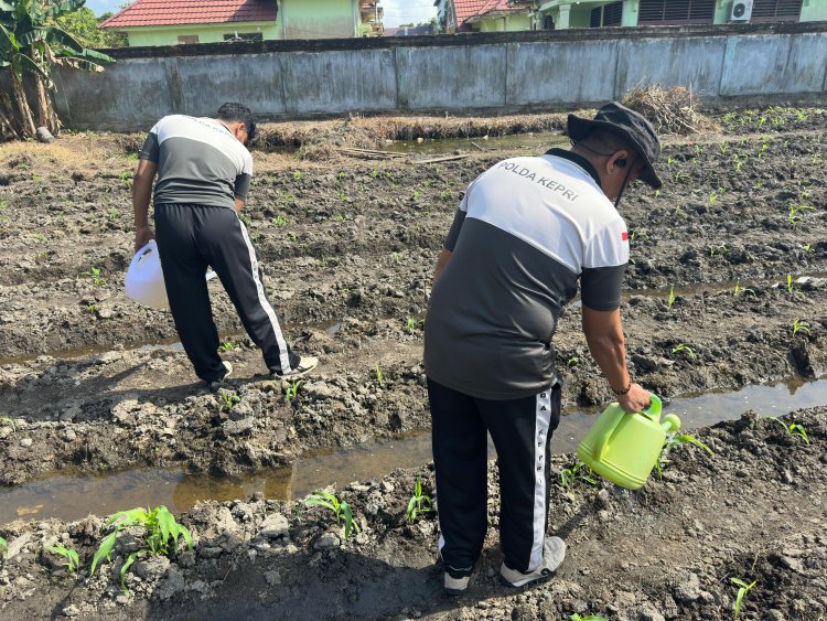 AKP Mayson Syafri bersama Personel Polsek Daik Lingga Lakukan Perawatan Rutin Tanaman Jagung