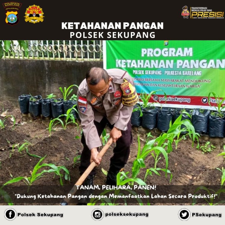 Program Ketahanan Pangan, Polsek Sekupang Sulap Lahan Kosong Jadi Produktif