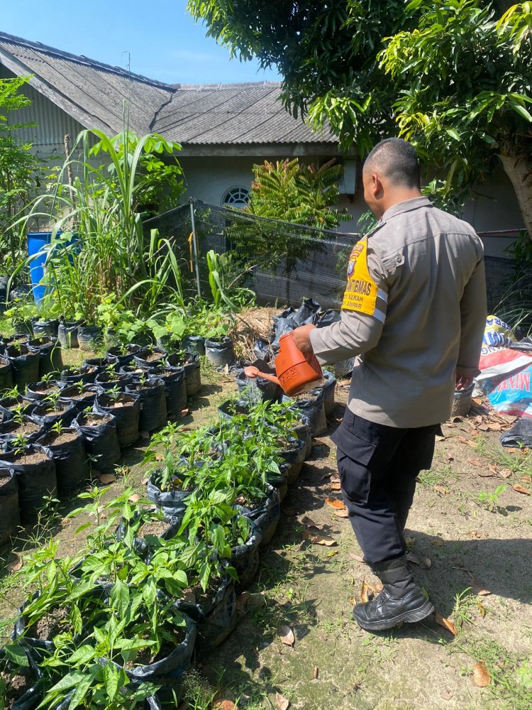 Polsek Batu Ampar Dukung Ketahanan Pangan, Dampingi Kelompok Wanita Tani di Batu Merah