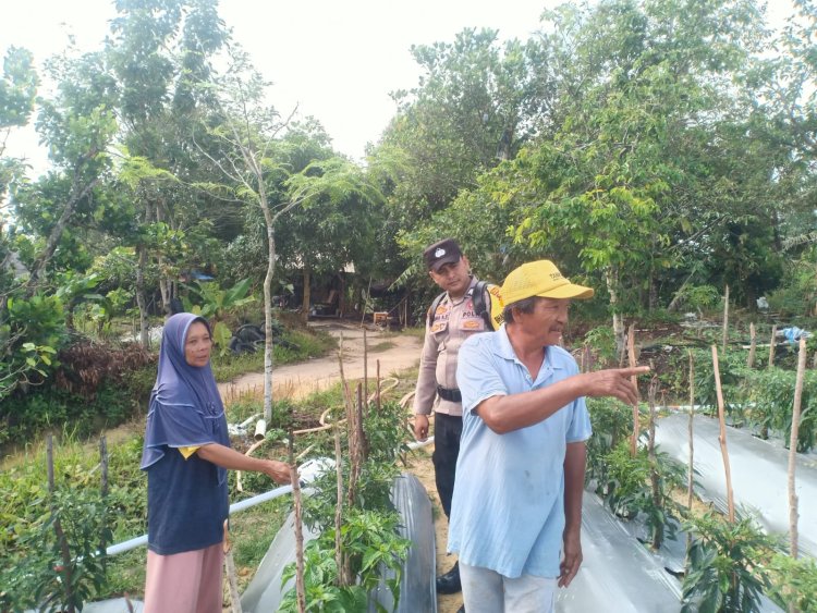 Polsek Sungai Beduk Wujudkan Ketahanan Pangan dengan Pemanfaatan Lahan Tidur Jadi Ladang Produktif