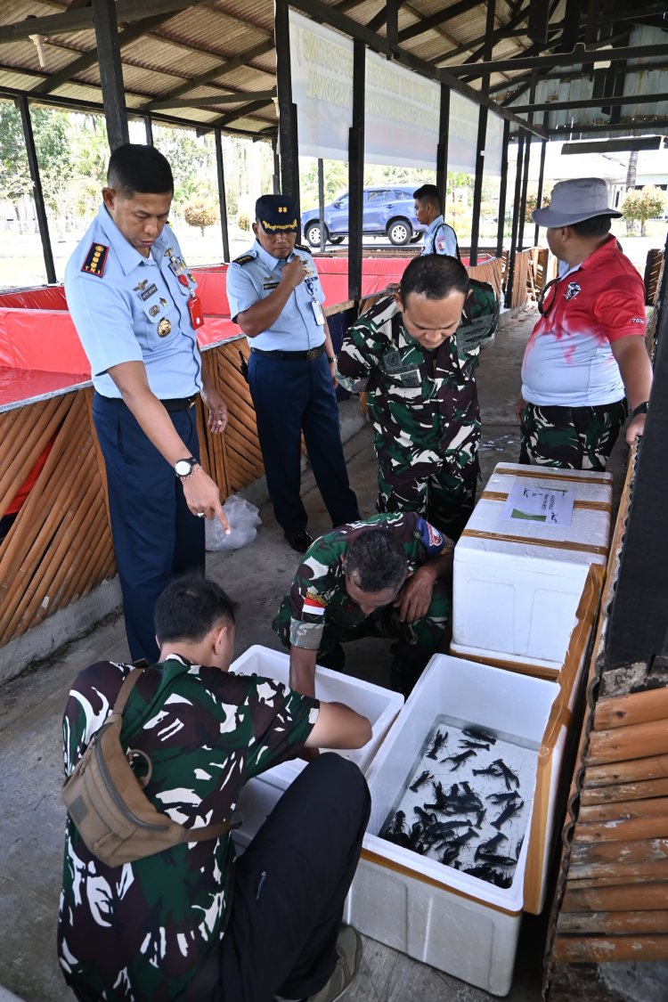 Danlanud RSA Tebar 10 Ribu Benih Ikan dan Lobster untuk Ketahanan Pangan Natuna