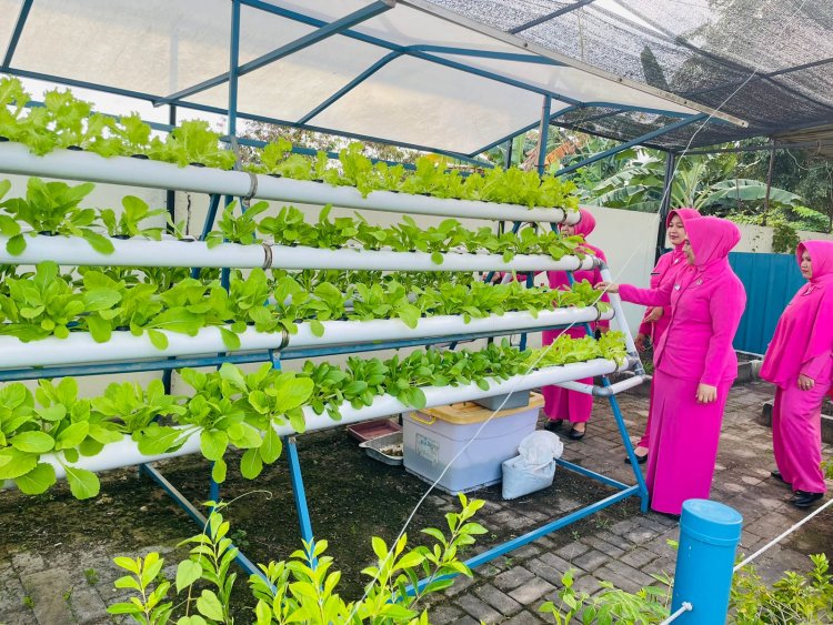 Polsek Bengkong akan Panen 3 Sayuran dari Teknik Hidroponik di Kebun P2L untuk Dukung Ketahanan Pangan